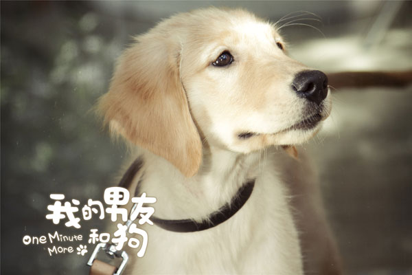 《我的男友和狗》中里拉呆萌
