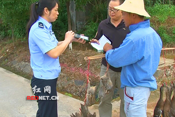 森林公安民警当场放生没收野生动物现场