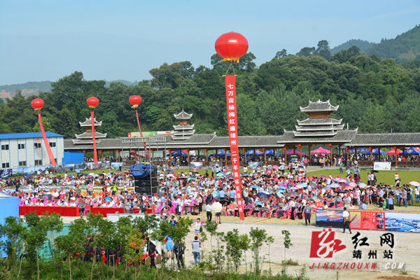 2015中国·靖州·杨梅节暨飞山文化旅游节开幕