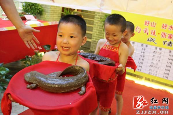 张家界厨神夺得娃娃鱼美食赛白钻奖 作品拍出98888元