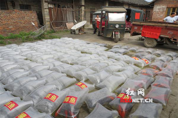 人工增殖放流筹备现场