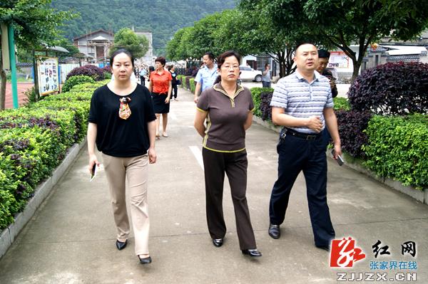 武陵源：褚新年督查“国家卫生镇”复检前期准备工作