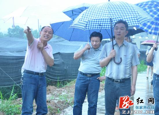 刘卫兵：强措施 补短板 全力推进全面小康建设