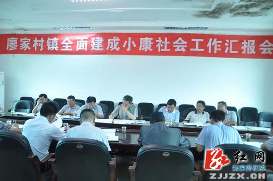 刘卫兵：强措施 补短板 全力推进全面小康建设