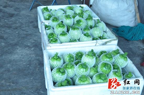 刘卫兵：强措施 补短板 全力推进全面小康建设