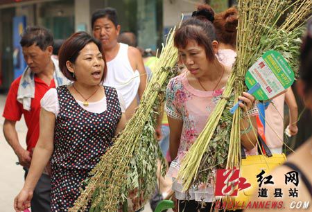 道县群众在街边挑选艾叶、菖蒲等风药