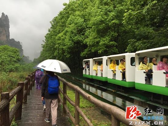 端午小长假现“龙舟雨” 武陵源各景区接待量有增