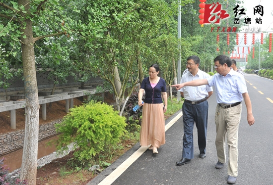 省水利厅水土保持处来岳塘区调研水土保持项目