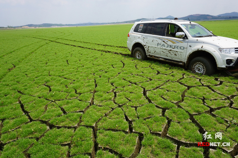 山东日照：水库水位告急