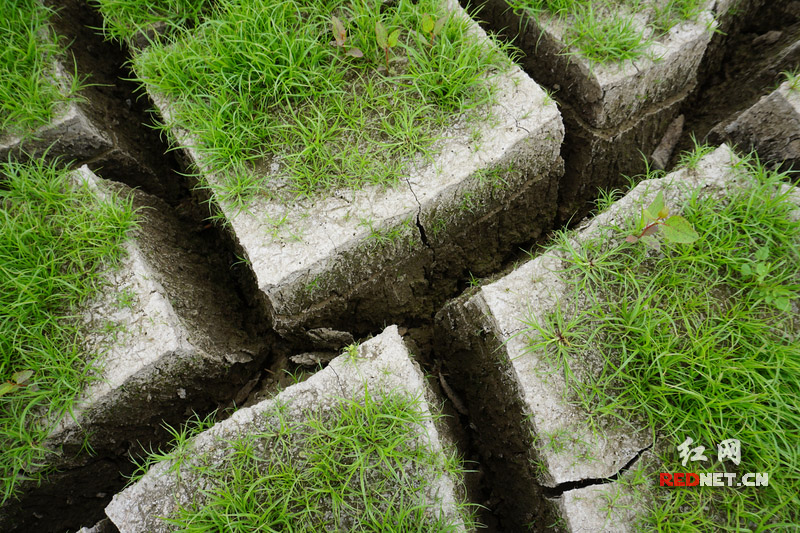 水库库底已经开始龟裂