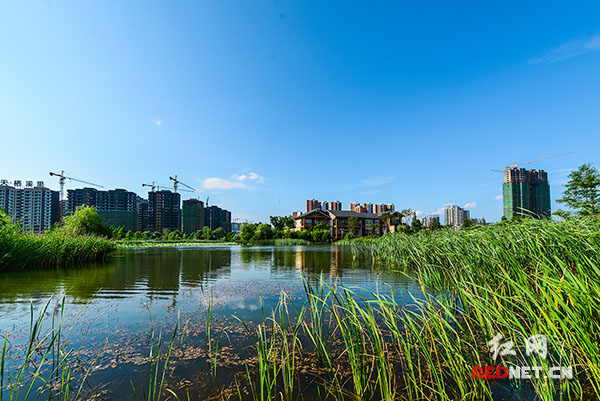 Different Changsha Blue, different Yanghu