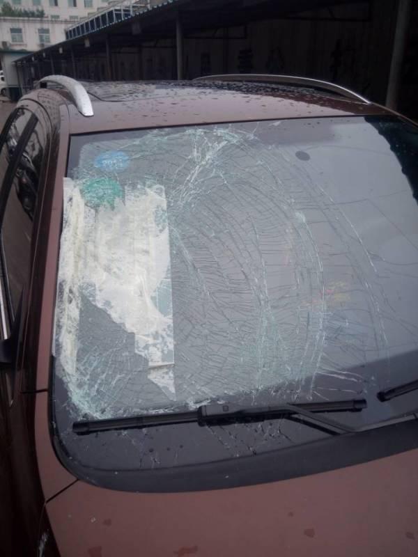 郑州一男子撞老人后丢弃高架桥警方：已被拘留