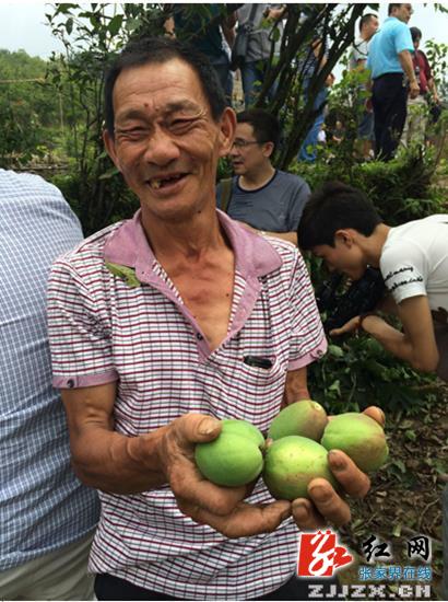 桑植县：金丰界村的木瓜熟了
