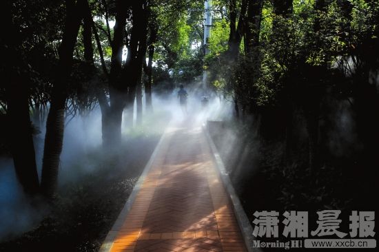 景观.jpg