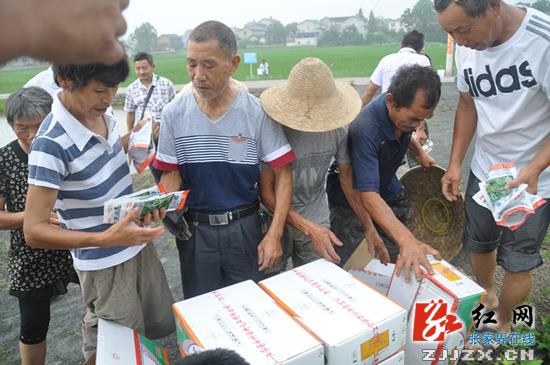 永定区多乡镇遭福寿螺入侵 目前防治工作正有序开展