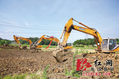 6月29日，在金山大道施工现场，挖掘机发出的阵阵轰鸣声传递出道路建设的火热氛围