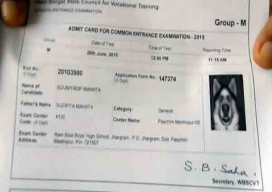 傻眼了：男子下载准考证时发现自己照片变狗（图）