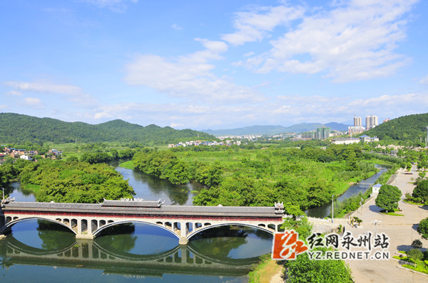 湿地家园—唐明登摄_副本