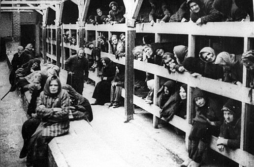 通过"犹太人问题最终解决方案",估计约有110万人在奥斯维辛集中营被杀