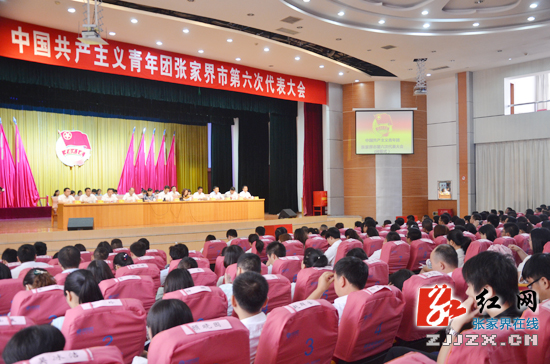 共青团张家界市第六次代表大会闭幕