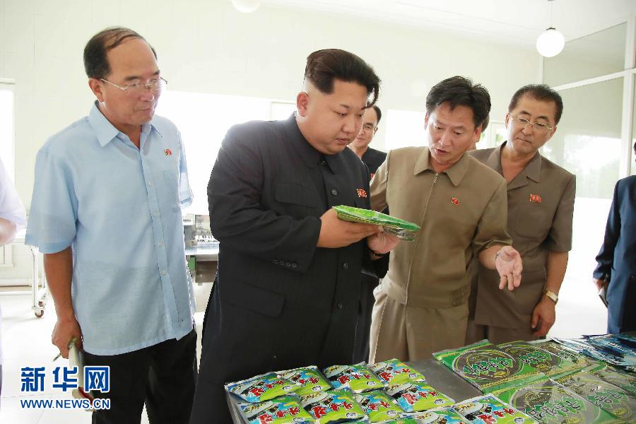 （国际）（2）金正恩视察平壤大庆紫菜加工厂