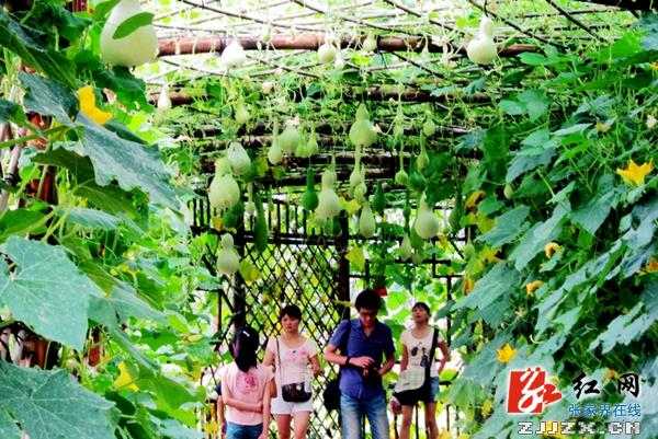 洞内鬼斧神工洞外瓜果飘香 张家界黄龙洞被赞为现实版“世外桃源”