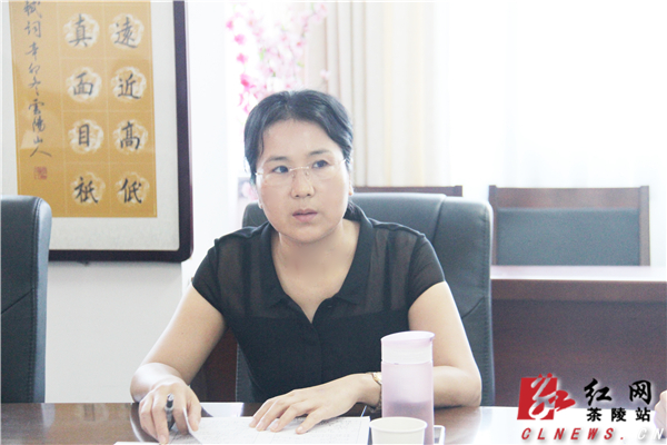 茶陵县委副书记,县长江小忠讲话