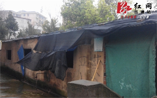 岳塘区174户规模养殖场用“退养”换来好风光