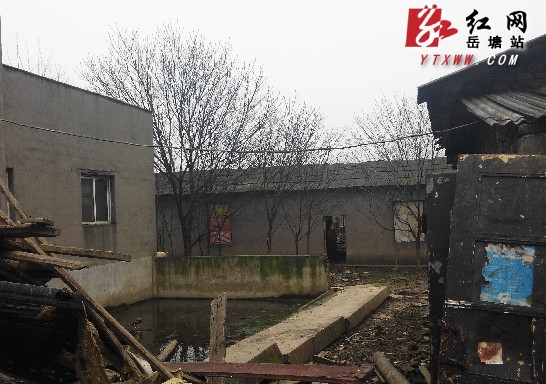 岳塘区174户规模养殖场用“退养”换来好风光