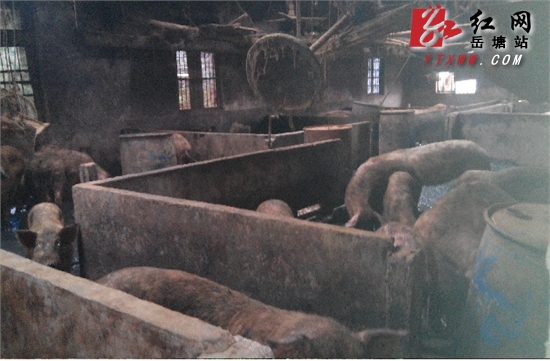 岳塘区174户规模养殖场用“退养”换来好风光