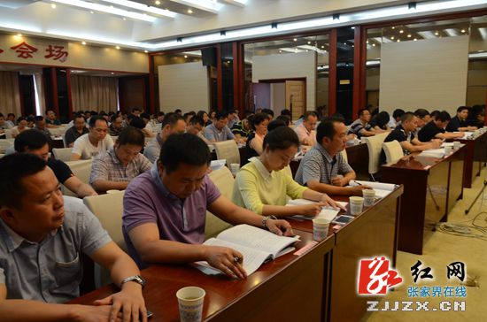 杜芳禄：规划是龙头 金融是核心 要抓住、抓好龙头和核心