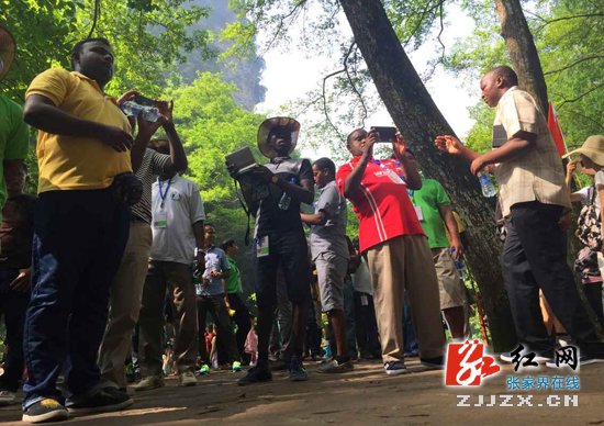 张家界核心景区武陵源迎来最大规模非洲旅游团