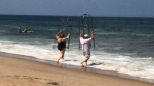 美国夫妇手举简陋防鲨笼下海围观者：蠢哭了（图）