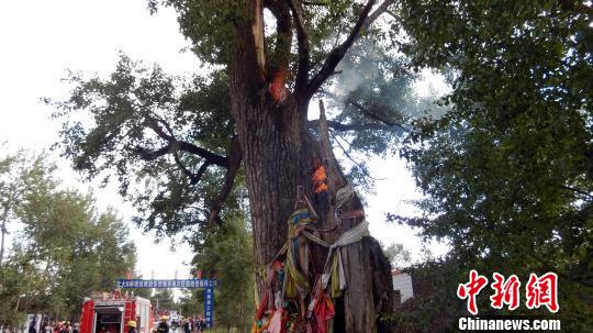 青海一棵600年古树遭雷击后起火目击者称真稀奇