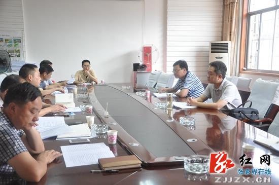 桑植县:刘卫兵调研特色乡镇建设及城市“四化”工作