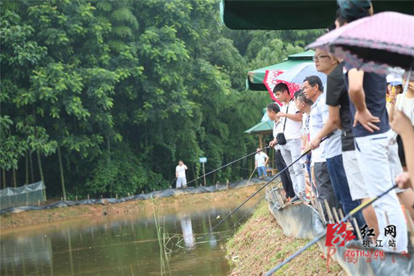 乡村旅游（龙虾）文化节