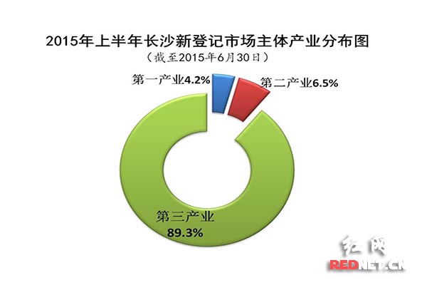 2015年上半年长沙新登记市场主体产业分布图。通讯员张蓉/图