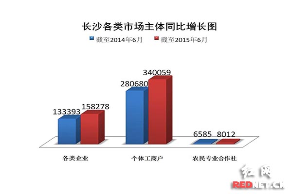 长沙各类市场主体同比增长图。通讯员张蓉/图