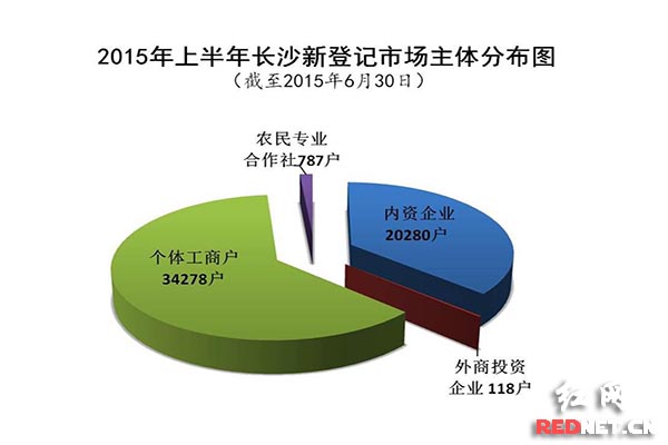 长沙新登记市场主体分布图。通讯员张蓉/图