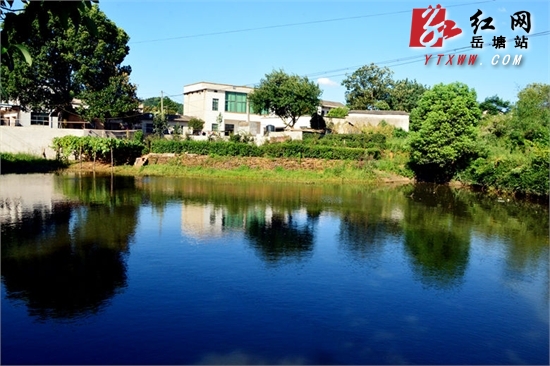 王永红:科学把握内涵 建设美丽乡村