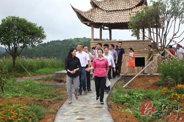 湘西州委副书记郭建群调研吉首项目建设和特色