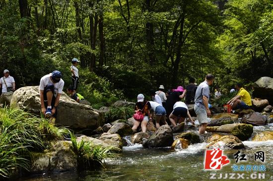 武陵源避暑游“火热” 远超去年同期