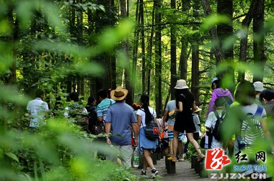 武陵源避暑游“火热” 远超去年同期