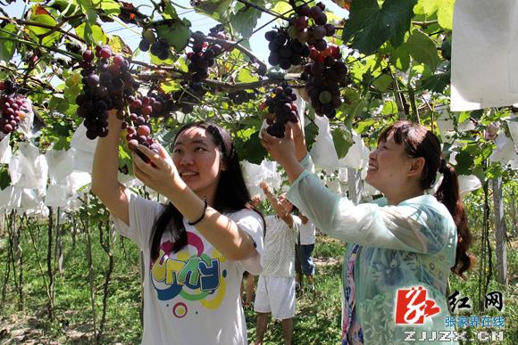 慈利县特种养殖和种植让计生家庭奔向“钱”程