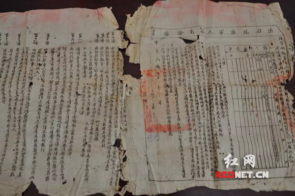中华民国三十三年八月签发的《出征抗敌军人家属证明书》