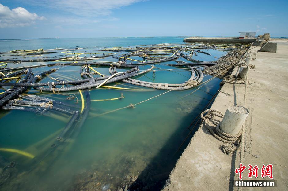 海南一企业擅自填海造码头建工厂