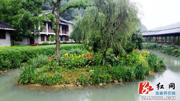 融合自然人文精华 张家界“烟雨双龙”之旅受青睐