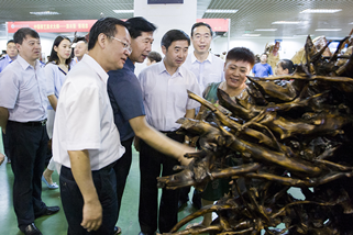 第九届中国(长春)民间艺术博览会盛大启幕