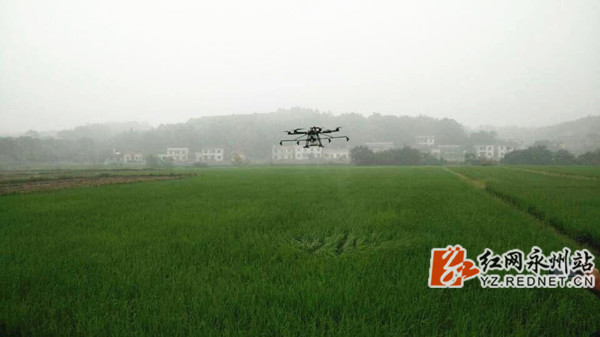 道县:突出科技引领推动粮食生产质量双升