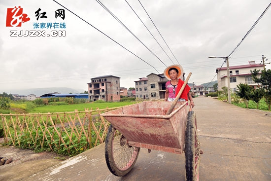 环境整治“6+1”行动让张家界“脸面”靓